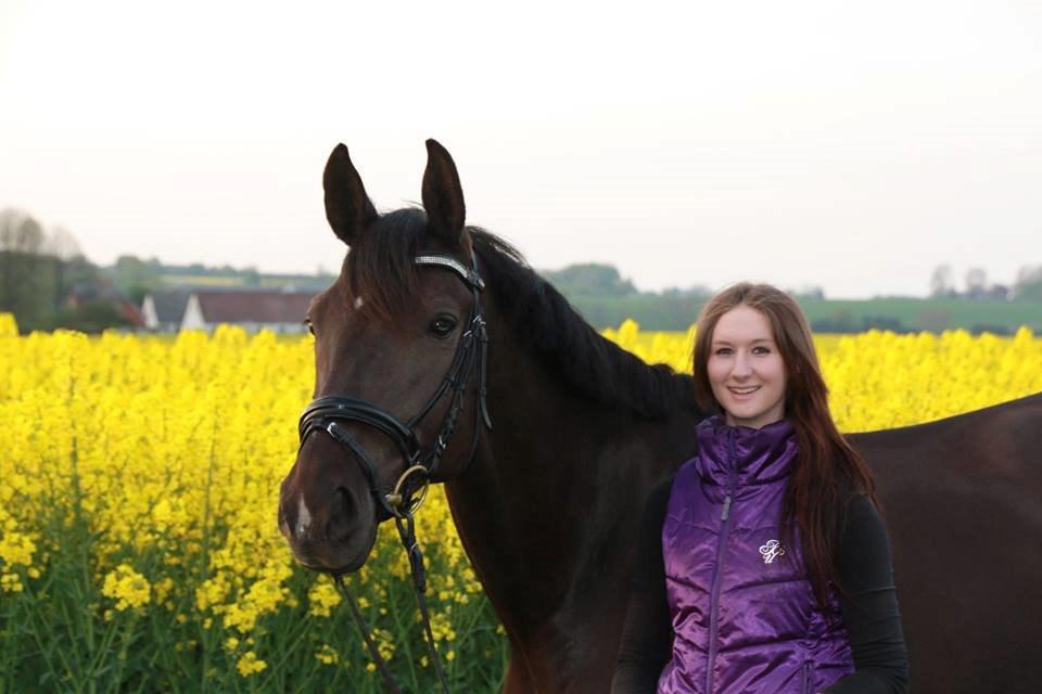 Trakehner Hamila - Fotograf: Line Lykke Madsen <3 billede 5