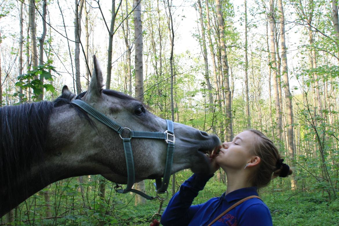 Anden særlig race Million Dollar Baby billede 5