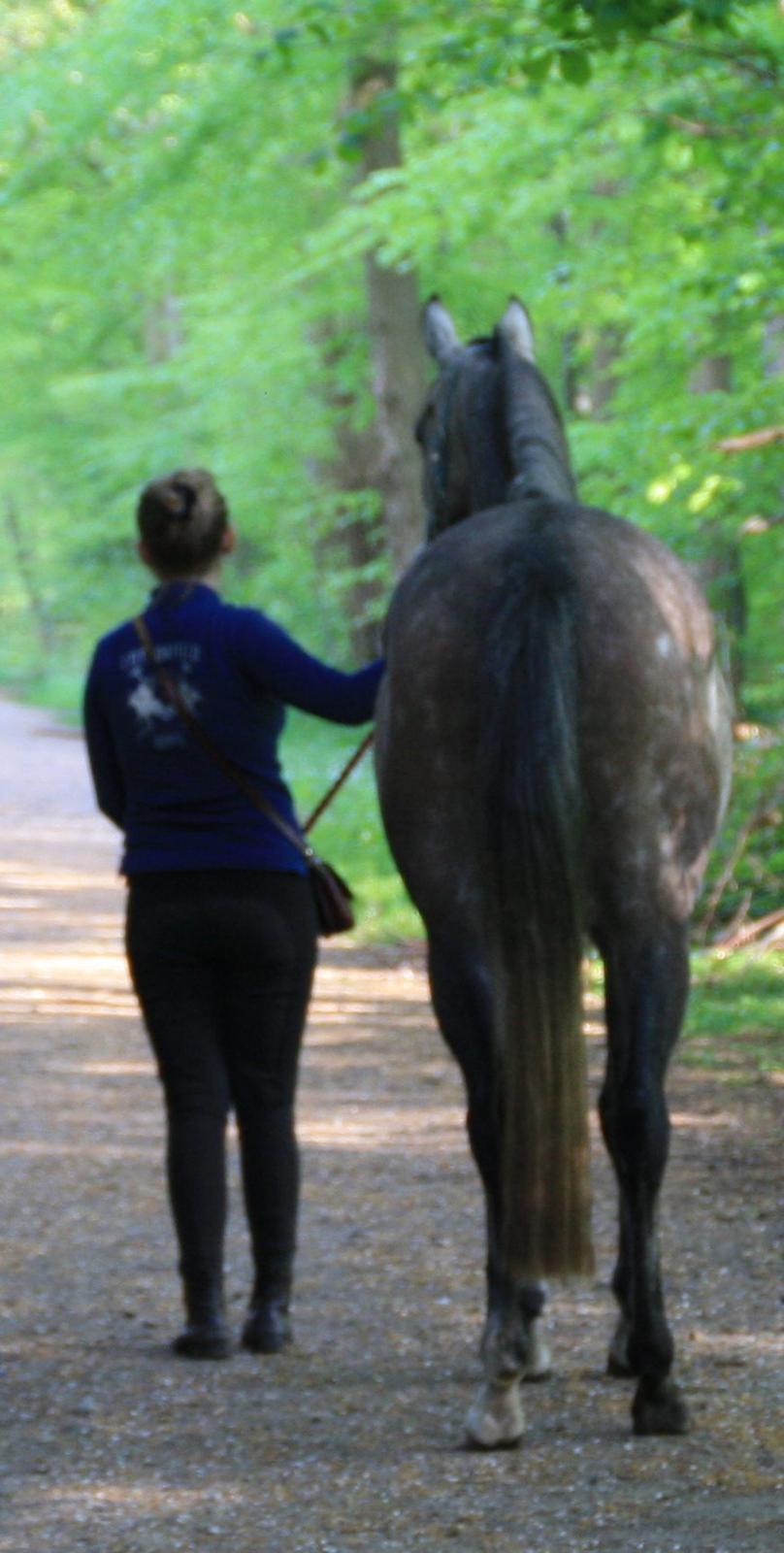 Anden særlig race Million Dollar Baby billede 7