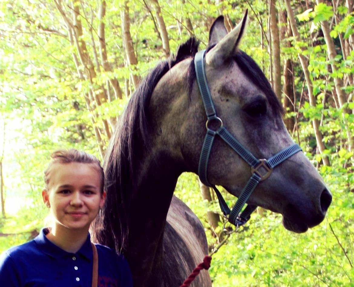 Anden særlig race Million Dollar Baby billede 1