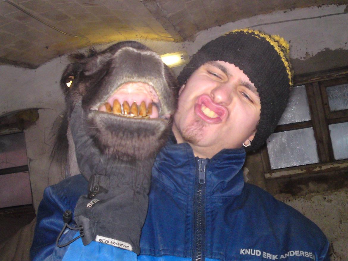 New Forest *Dianna - Hvem er kønnest? 2011 billede 26