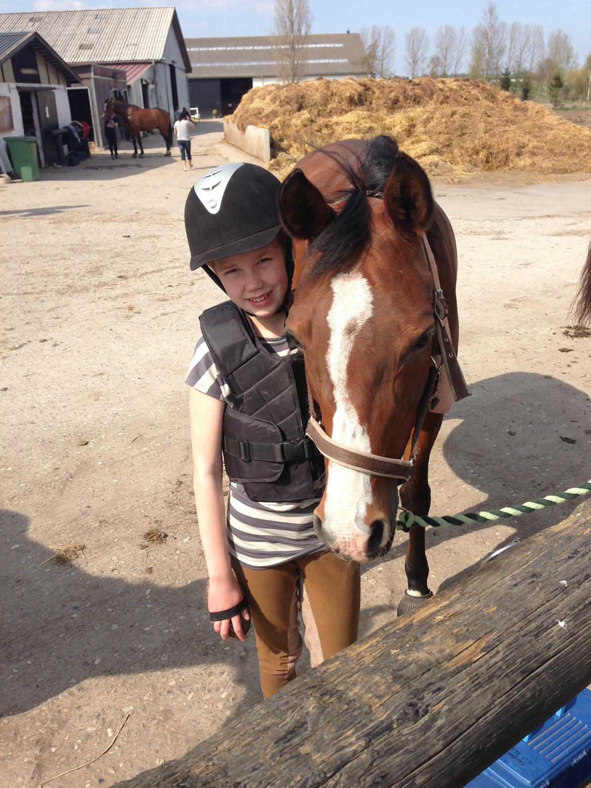 Arabisk fuldblod (OX) Ghana VSR - Lille mig og Ghana, før jeg fik part.  billede 4