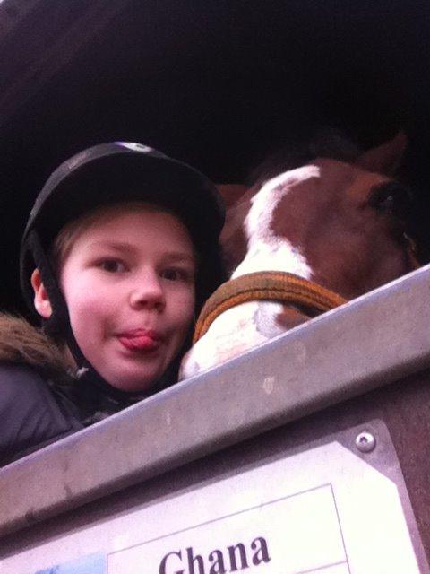 Arabisk fuldblod (OX) Ghana VSR - To fjolser efter ridetime :3 billede 18