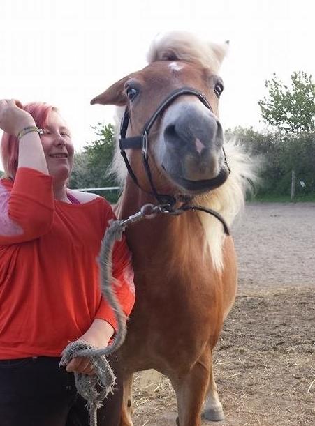 Haflinger fiona(Ulstrup efterskole) - velkommen til fionas profil :) er hun ikke fin billede 1