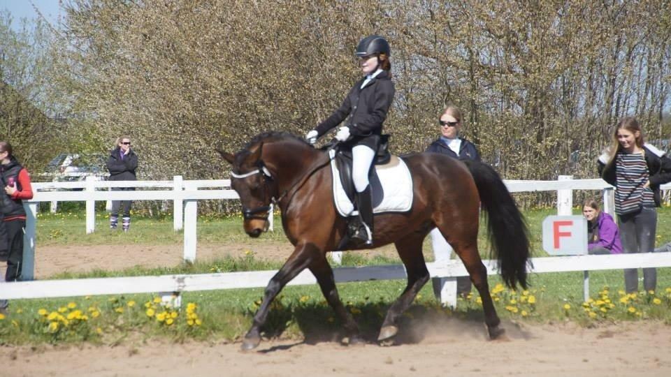 Anden særlig race Sam <3 billede 11