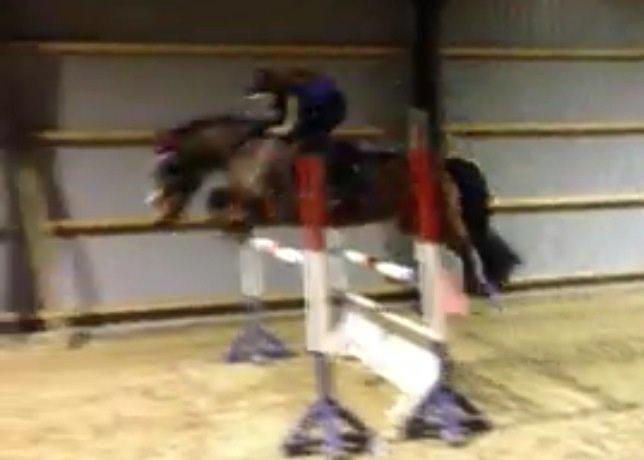 Anden særlig race Sam <3 billede 12