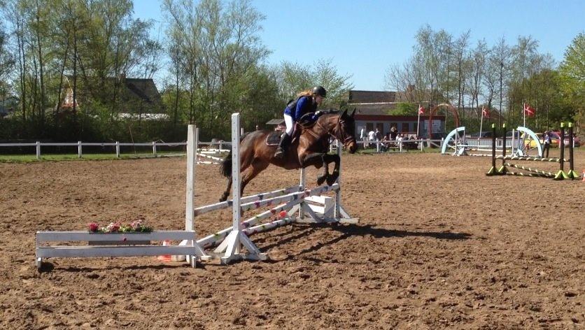 Anden særlig race Sam <3 billede 13