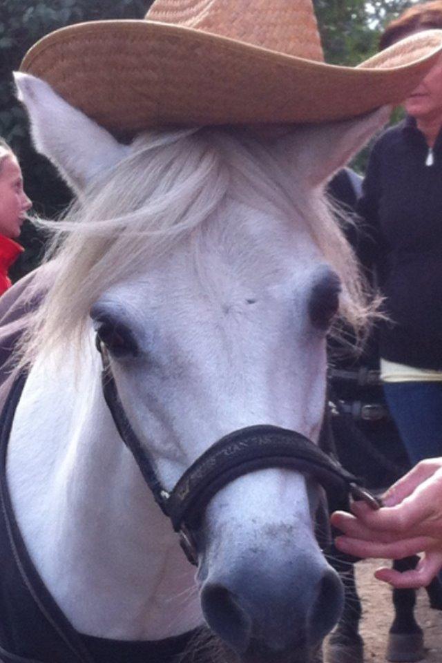Anden særlig race Frederikke - min lille cowboy billede 12