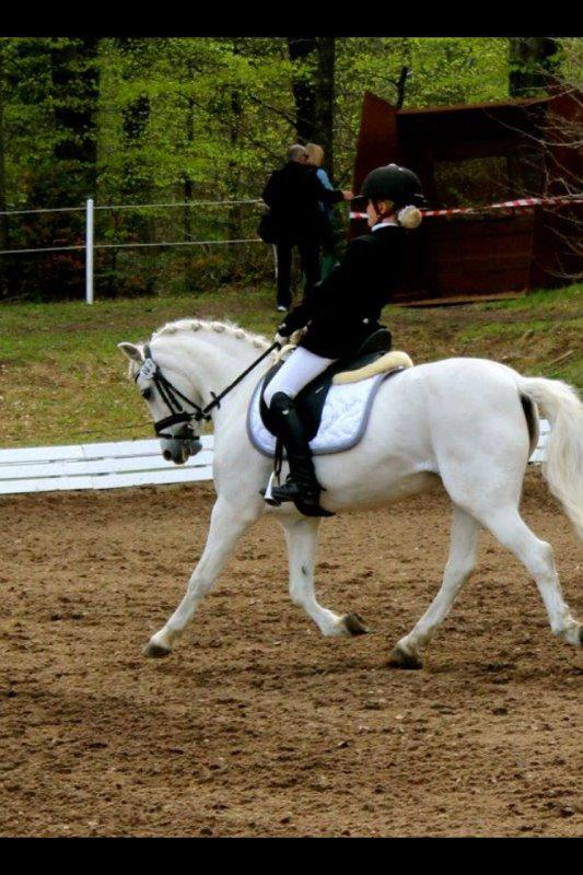 Anden særlig race Frederikke - morsø:-) billede 13