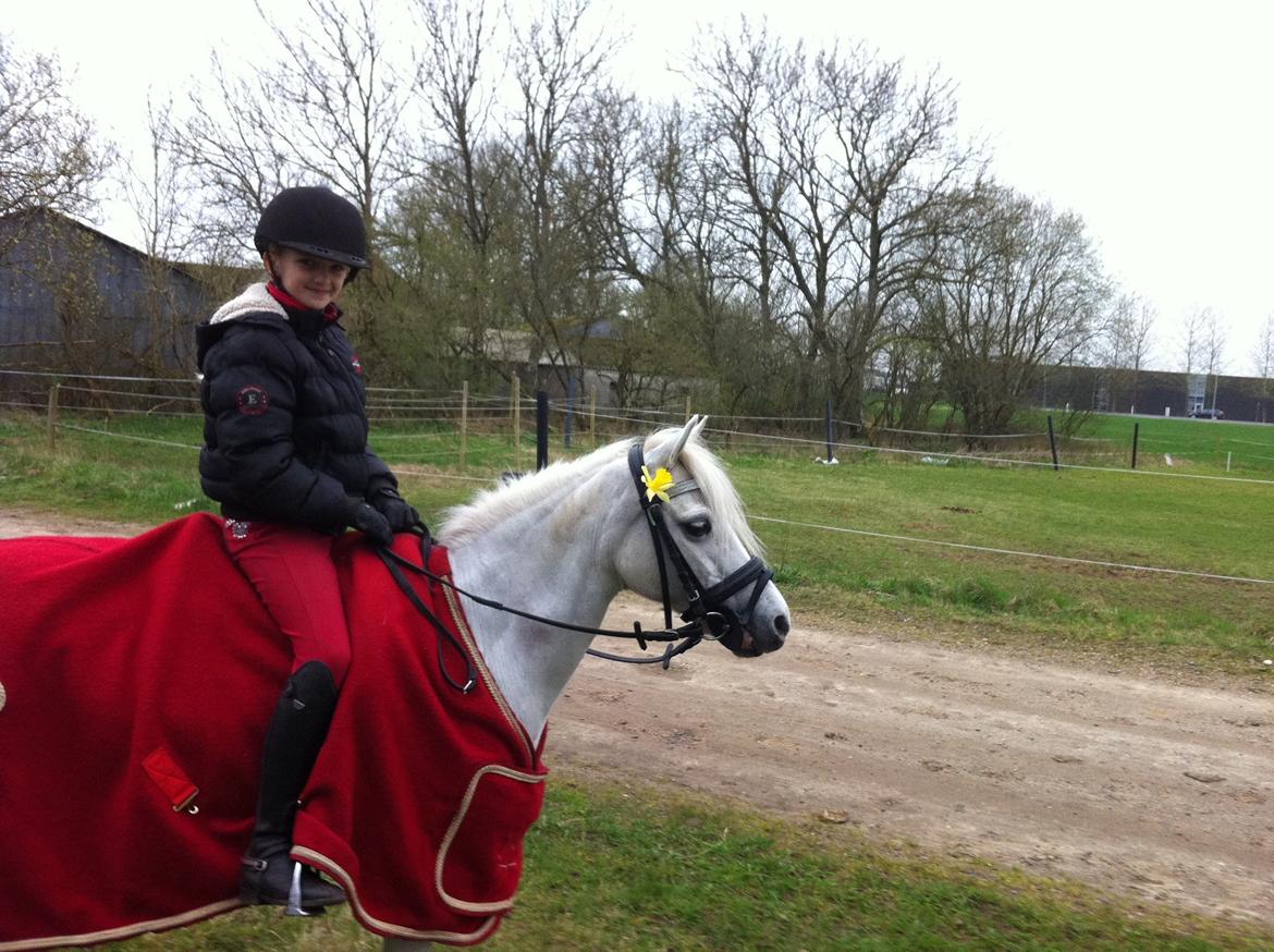 Anden særlig race Frederikke - velkommen til vores profil :) billede 1