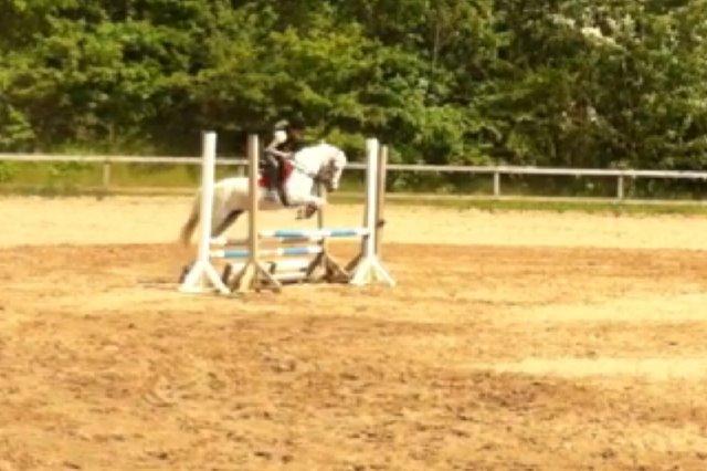 Anden særlig race Frederikke - springning!!!! billede 15