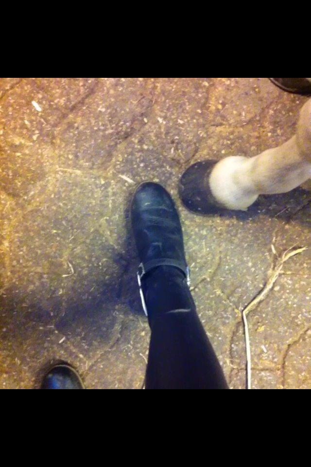 Anden særlig race Frederikke billede 19