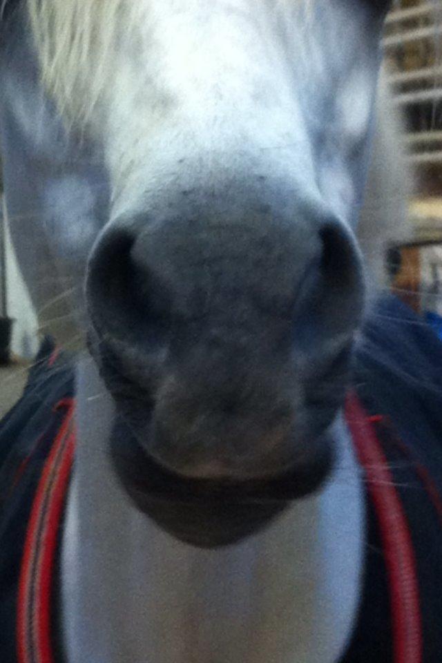 Anden særlig race Frederikke - tak for kigget. kys fra Frederikke billede 20