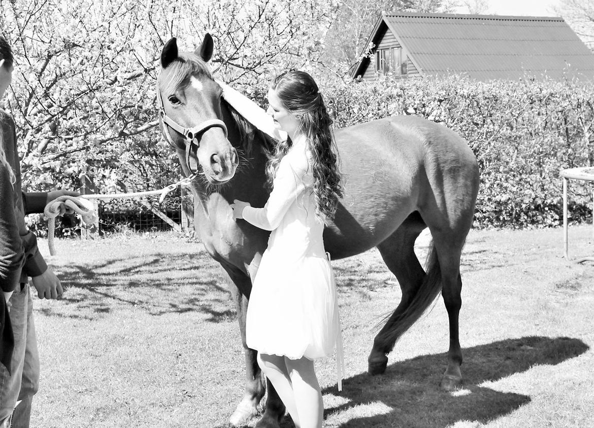 Anden særlig race Ponygården's Megara - Det bedste vee hele dagen!! <3 <3 billede 19