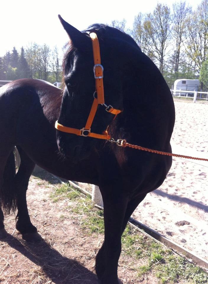 Frieser $Birka$[Tid.Part] - Birka's nye OUTFIT ;) billede 6