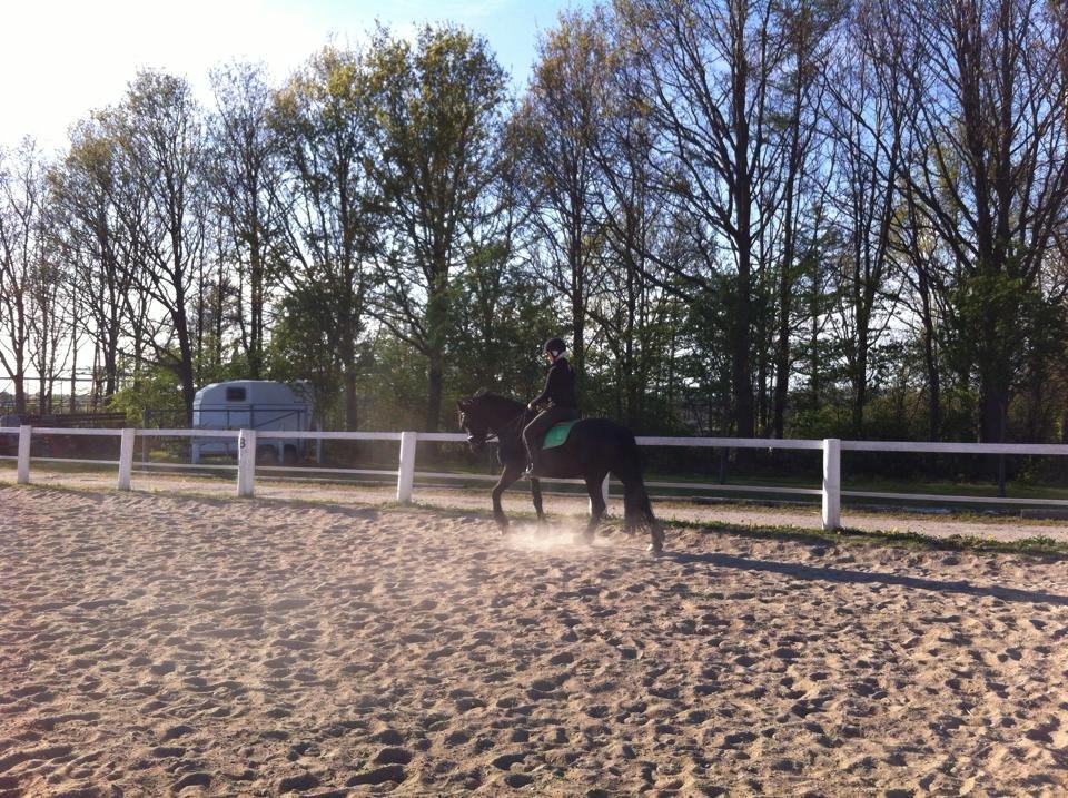 Frieser $Birka$[Tid.Part] - fremskridt !! billede 8