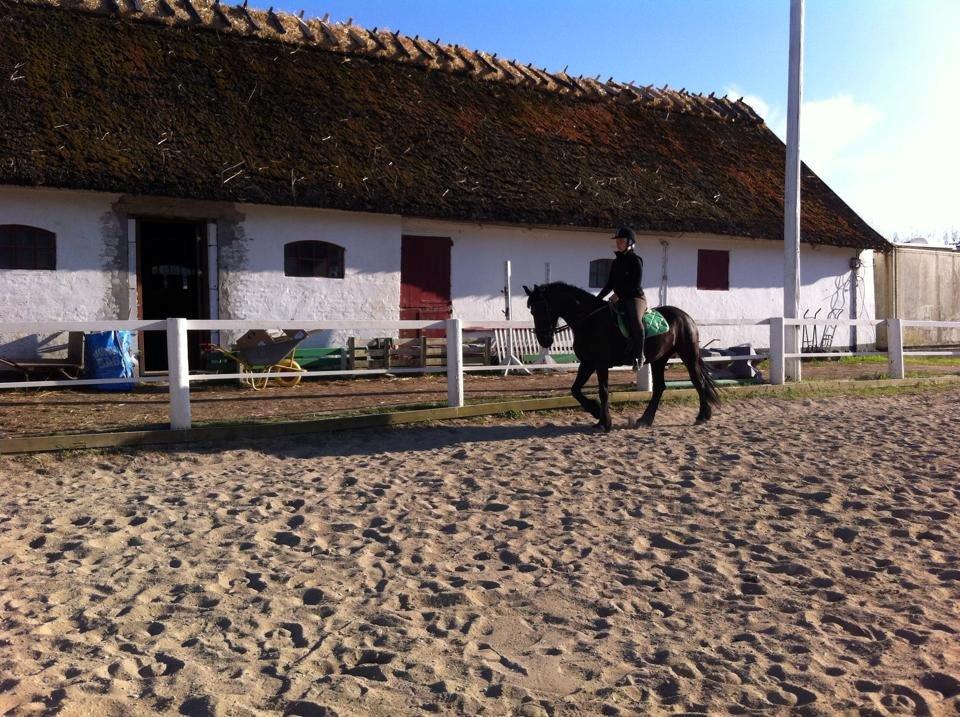 Frieser $Birka$[Tid.Part] - kunne ik se pænere ud  billede 10