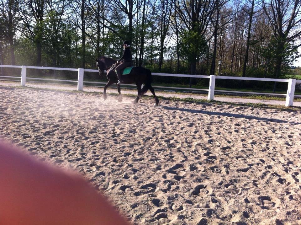 Frieser $Birka$[Tid.Part] - ''finger på photo'' SORRY! billede 12