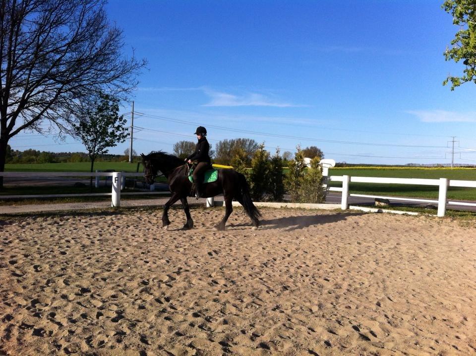 Frieser $Birka$[Tid.Part] - ej hvor hun fin idag billede 11