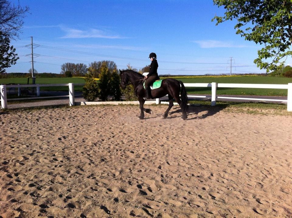 Frieser $Birka$[Tid.Part] - hyp hyp hyp billede 16