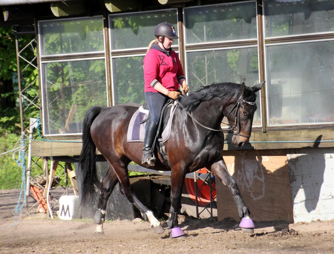 Oldenborg Marina billede 37