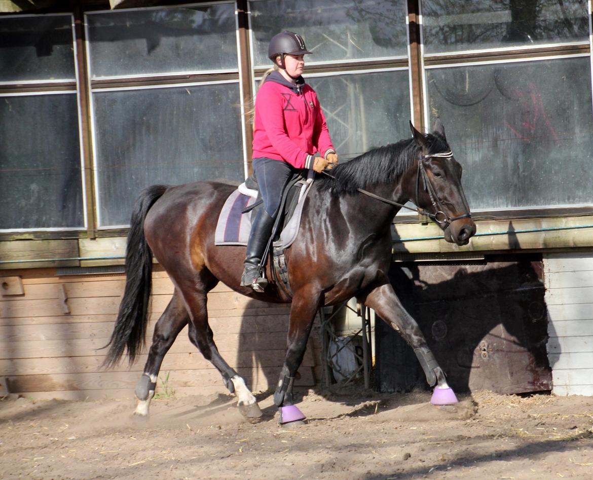 Oldenborg Marina billede 32