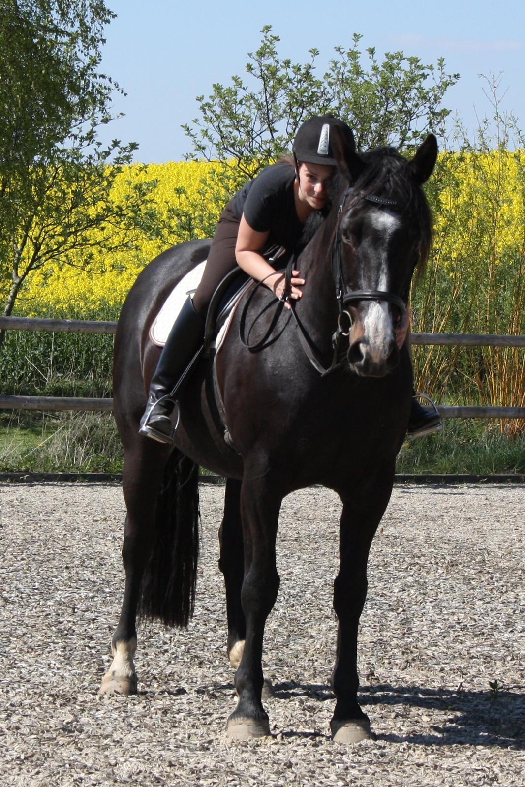 Oldenborg Zafir billede 3