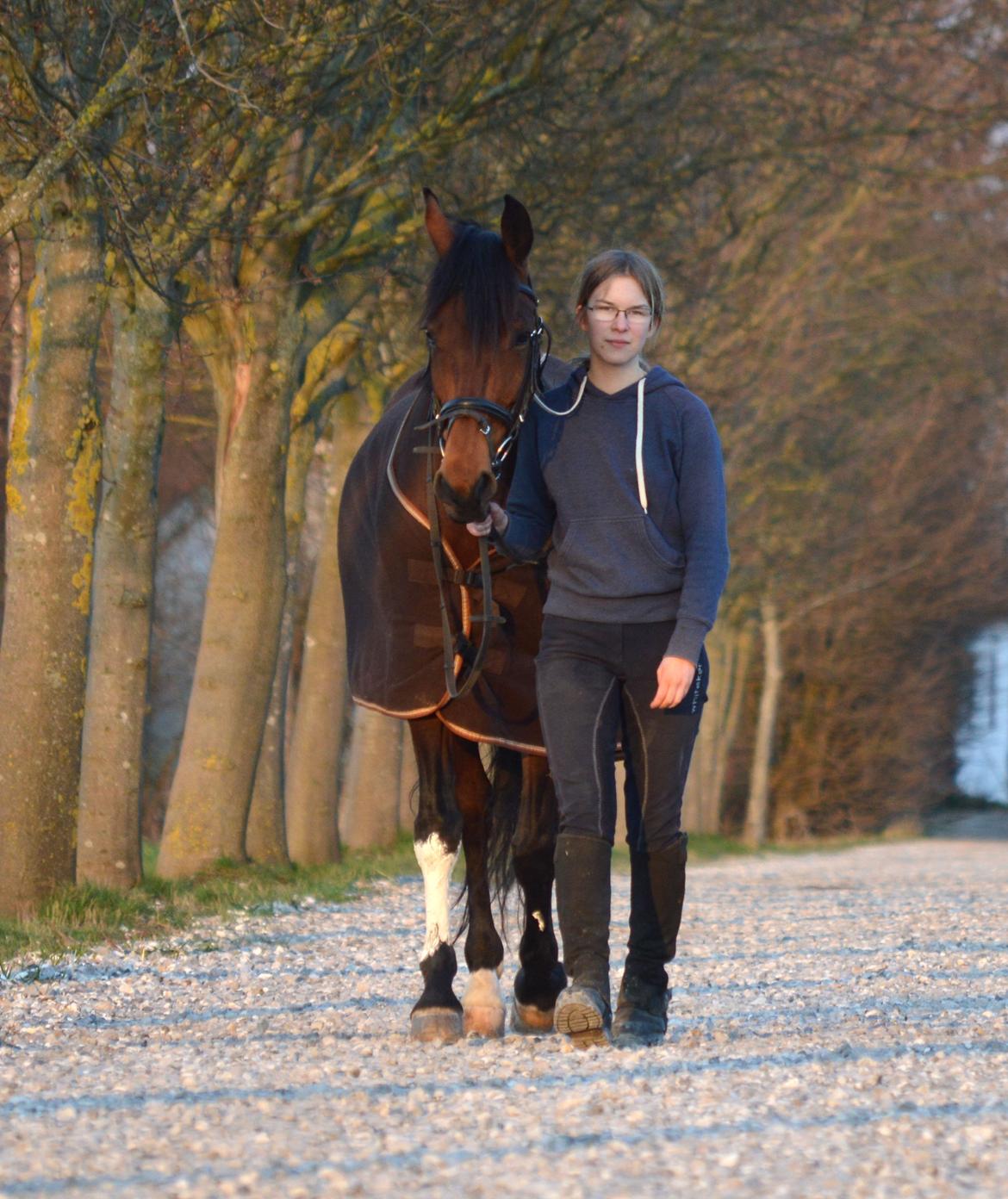 Dansk Varmblod Fiona *Fio* - Gåturene som vi begge nyder <3 billede 9