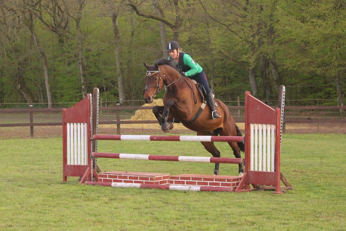 Oldenborg Damgårdens Top-Loader billede 16