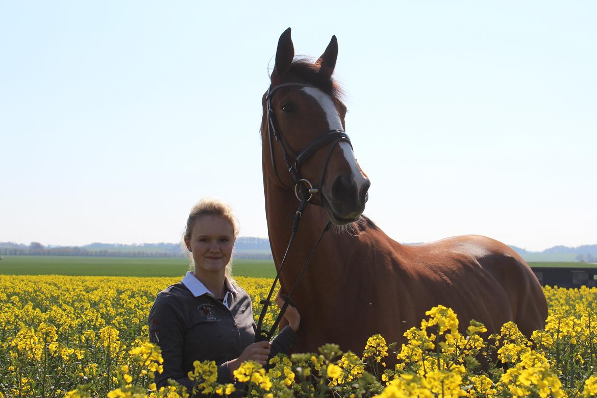 Dansk Varmblod Storbank's Darling -  I've found my sweet escape when I'm alone with you...<3 billede 2
