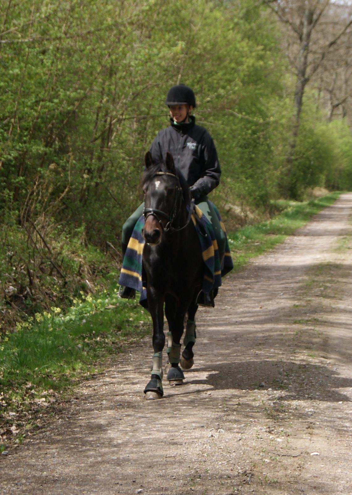 Anden særlig race Natasja (Tusja) - 02.05.10 - På skovtur billede 11