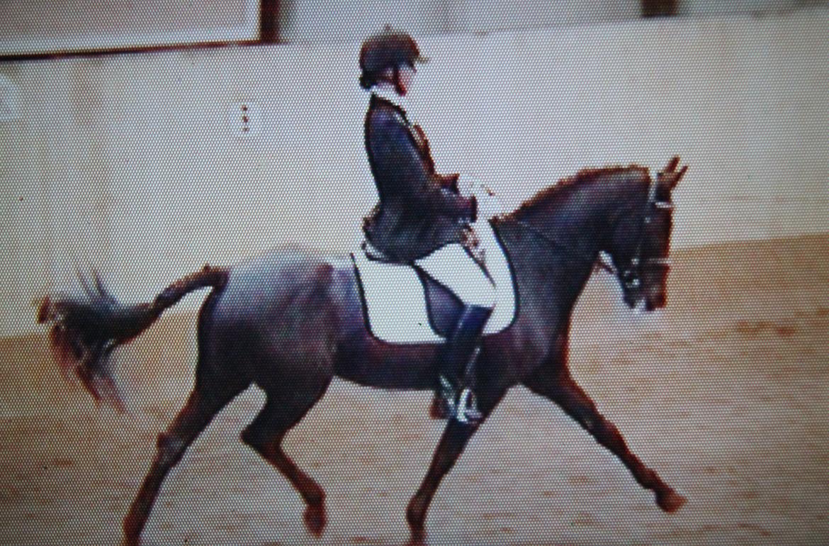 Anden særlig race Natasja (Tusja) - 27.08.11 - Middeltrav i LA2 billede 14