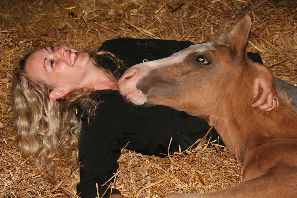 Palomino Richelieu's Fièvre d'or - Fiévre og jeg i en hyggestund da han var ca 6 måneder gammel :) billede 33