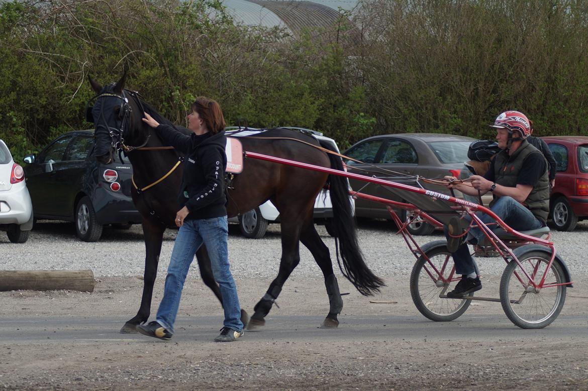 Traver Walkabout - Walkabout,på nyk travbane den 1 Maj 2014 billede 32
