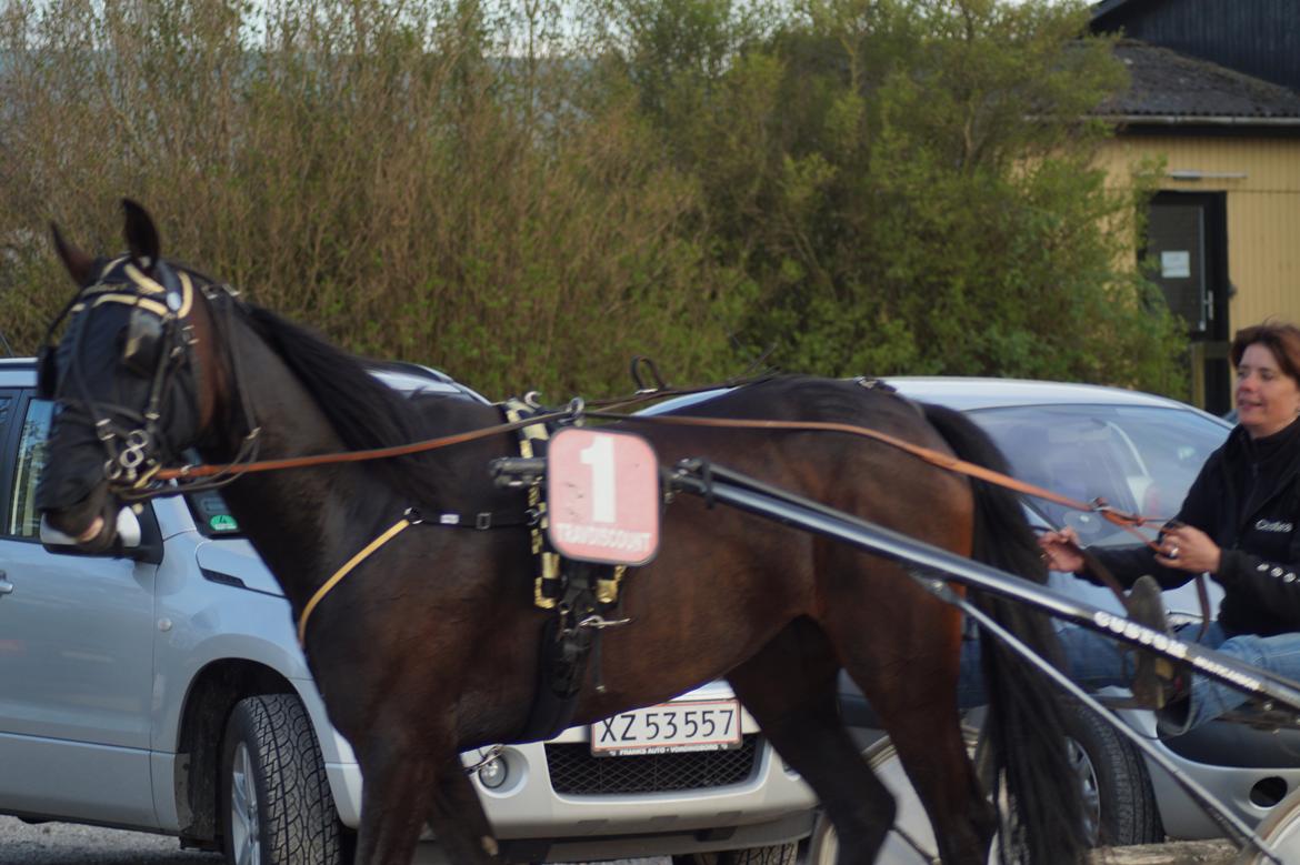 Traver Walkabout - Walkabout bliver her skridtet af efter løb den 1 Maj 2014 billede 35