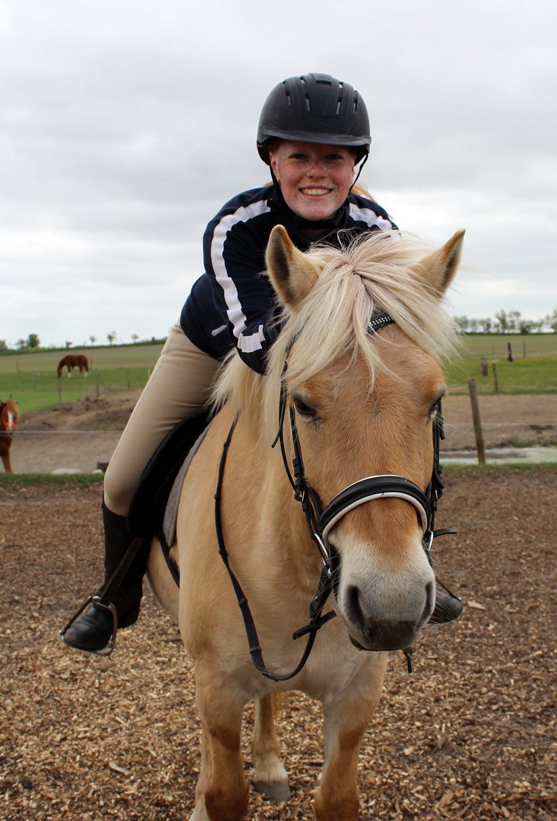 Fjordhest Stella - Dejlige skønne pony <3 billede 2