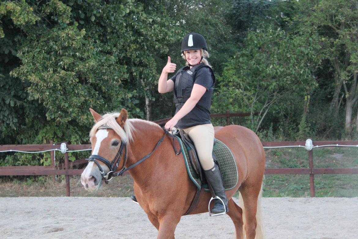 Haflinger Münthe ~ "Pony" - tidl. part  billede 12