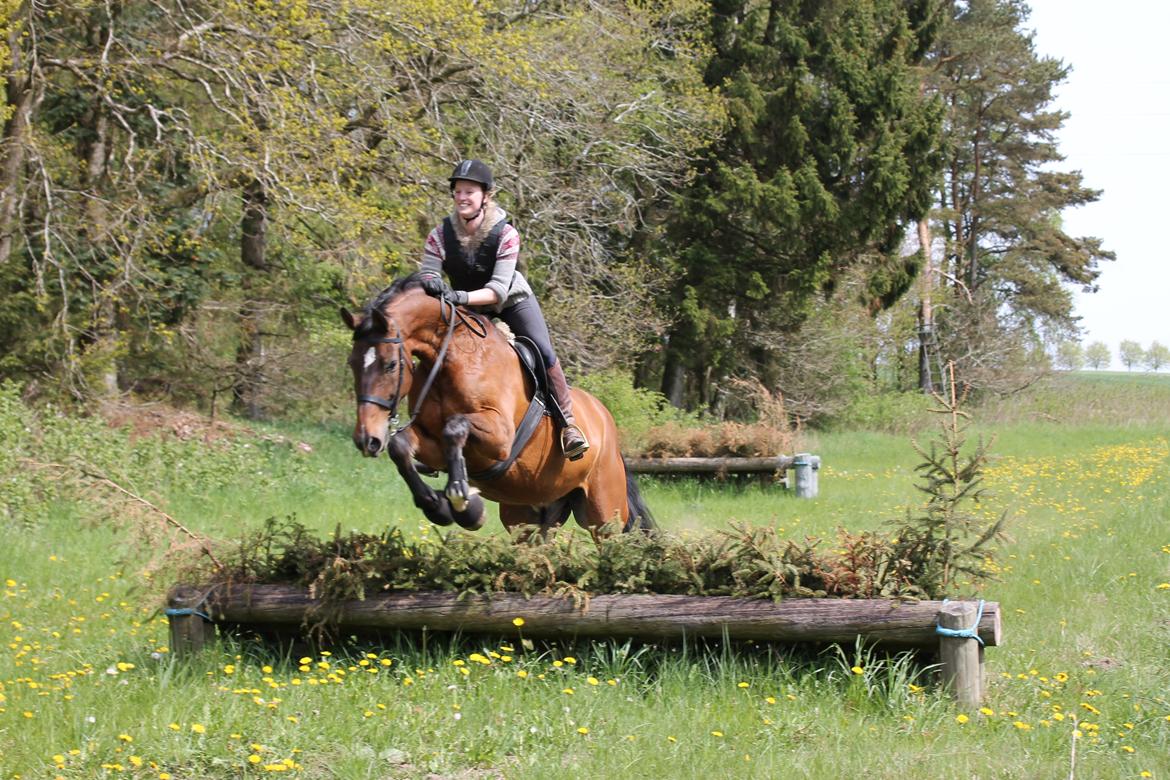 Holstener Noldes Amigo - Militarykursus i Langå billede 7