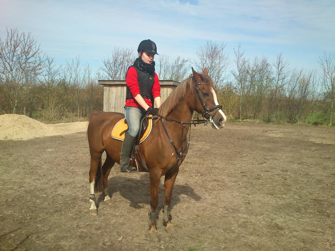 Anden særlig race Vestergårds La Foxy billede 48