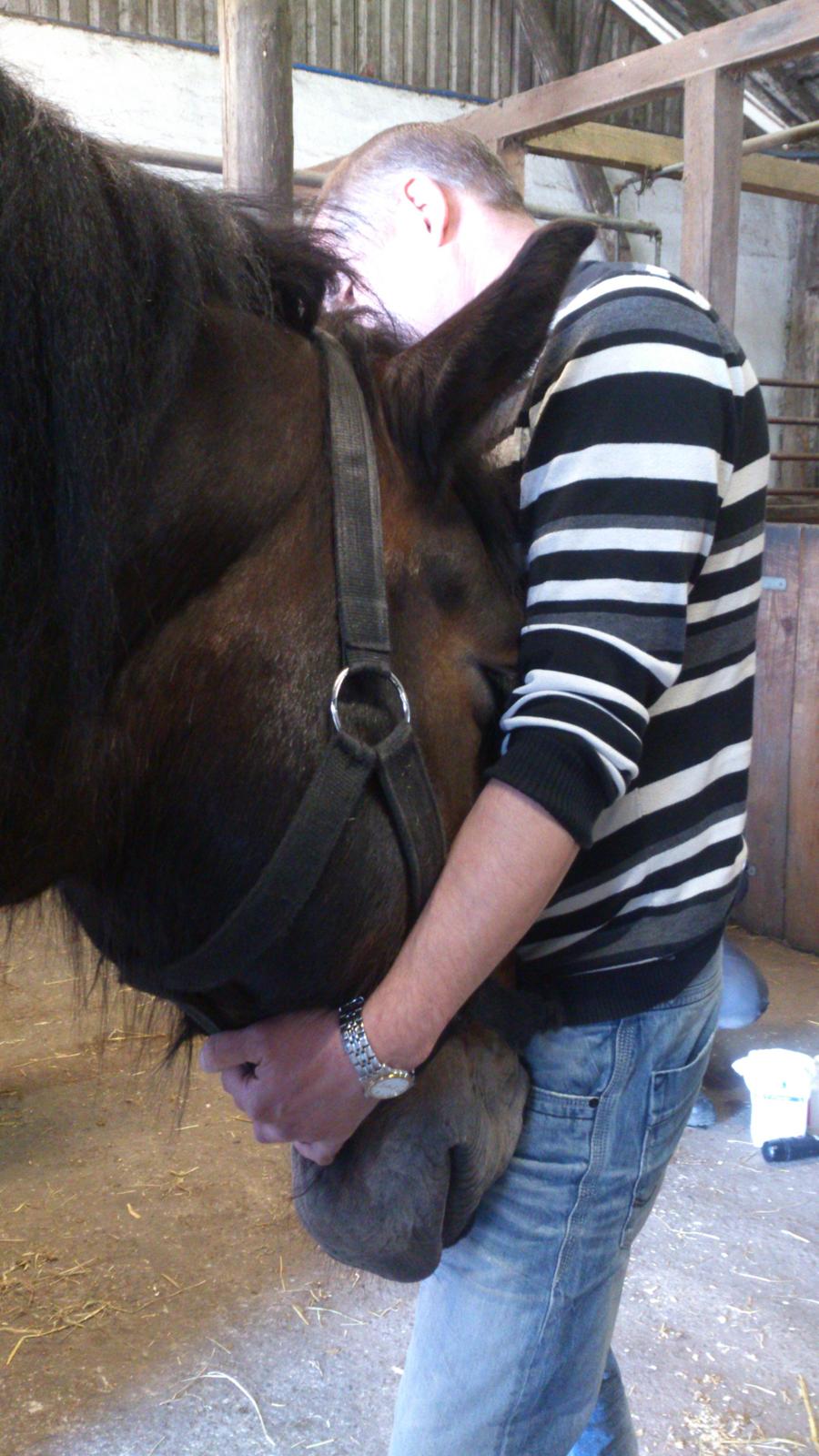 Belgier Bormosens Rollo - En bedøvet Rollo sammen med daddy. billede 9