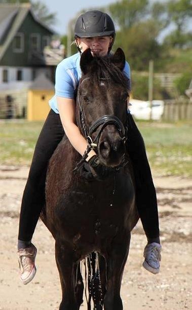 New Forest Lindholms Micky - <3 billede 7