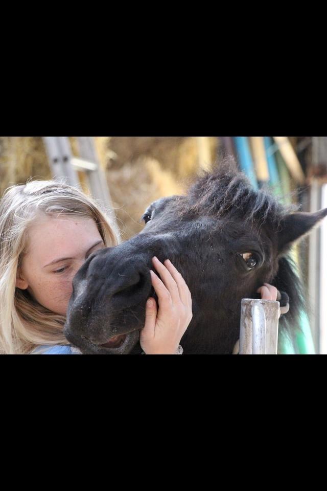 New Forest Lindholms Micky - Elsker den pony for vildt! <3 billede 10