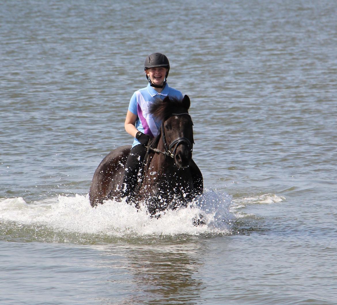 New Forest Lindholms Micky - Elsker at bade ved vandet! :D billede 15