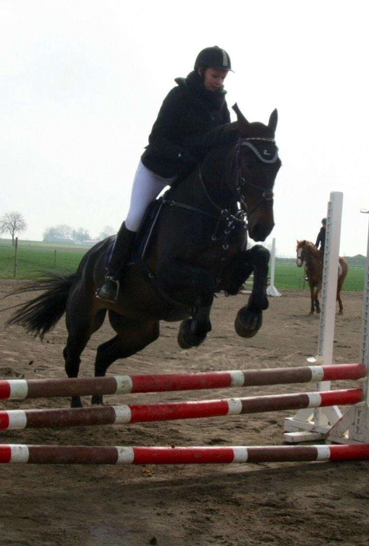 Anden særlig race Sweet Alexander billede 21