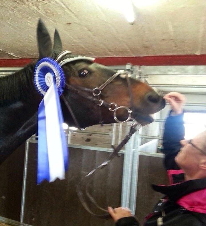 Anden særlig race Sweet Alexander billede 24