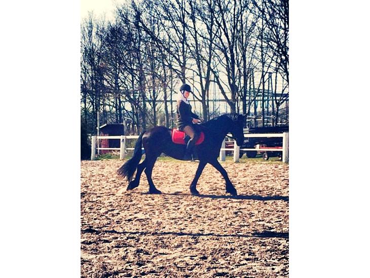 {{currentPhoto.altText}} billede {{currentPhoto.number}}