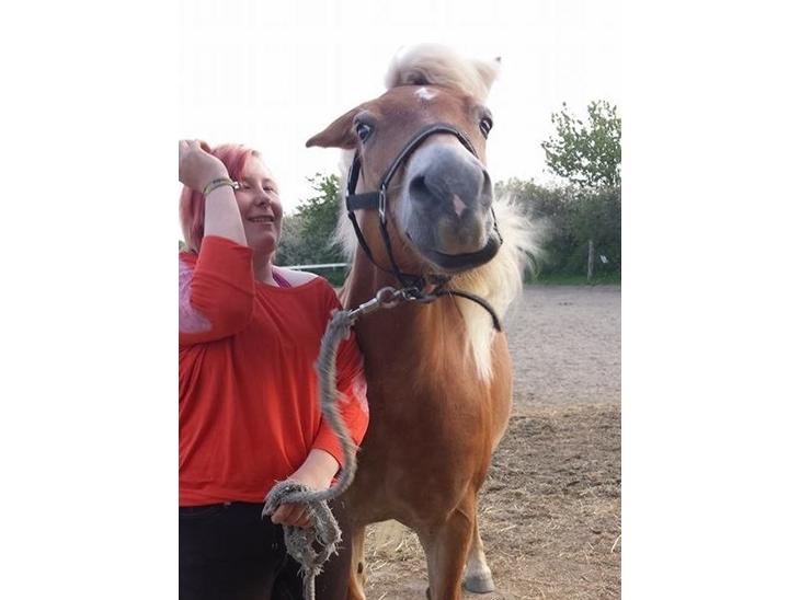 {{currentPhoto.altText}} billede {{currentPhoto.number}}