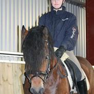 New Forest Roløkke Carted'or