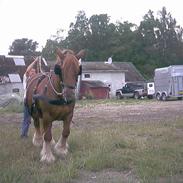 Jyde Mette har fået vinger 