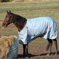 Traver Orlov Pacific Ocean  *solgt*